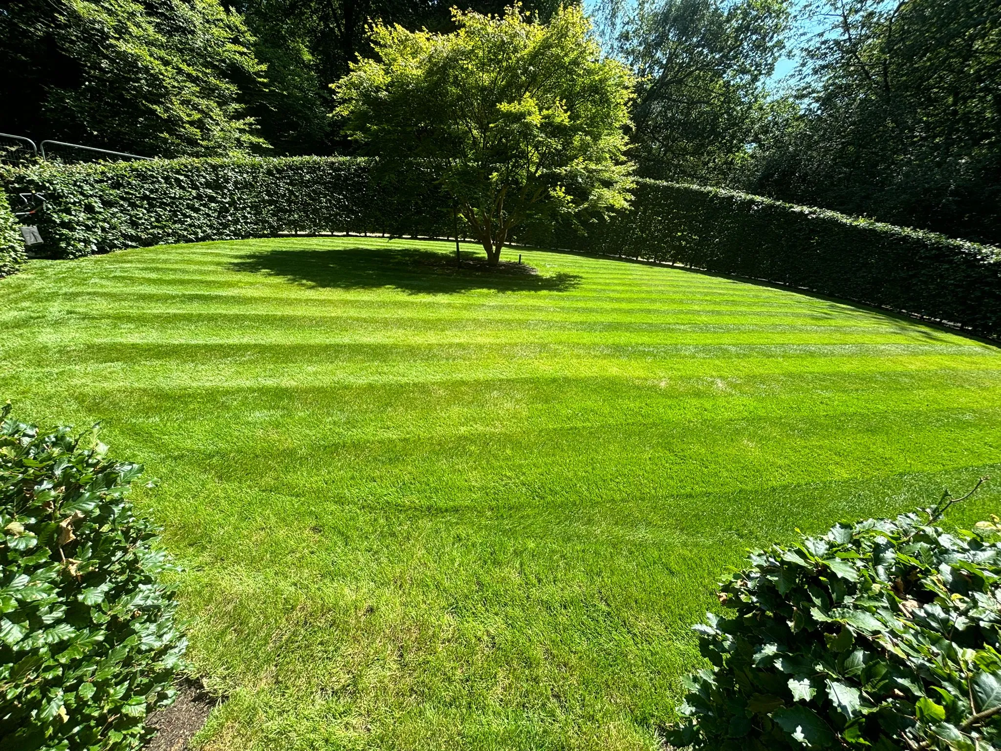 Turfing installation in South East England