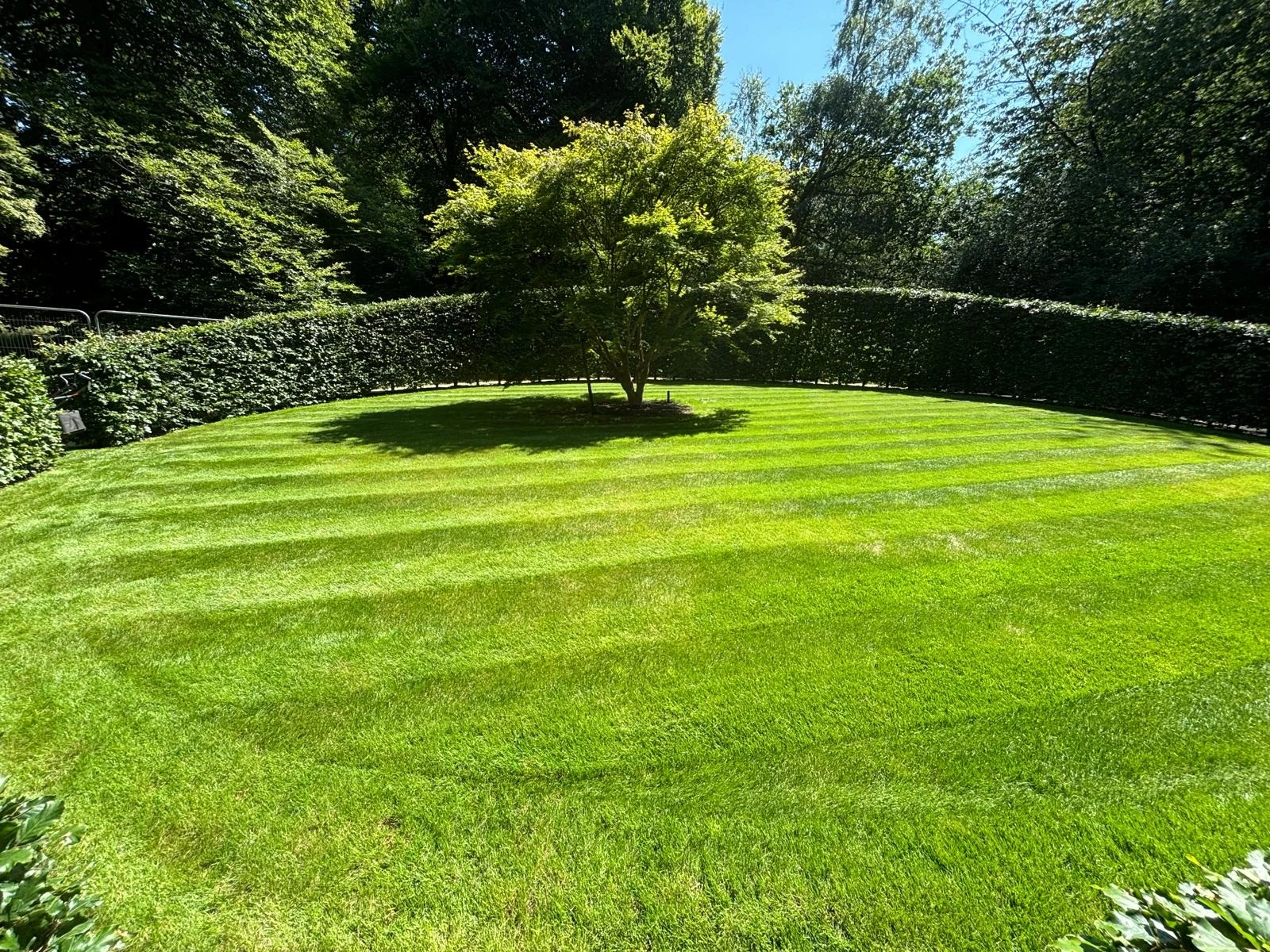 Turf installation